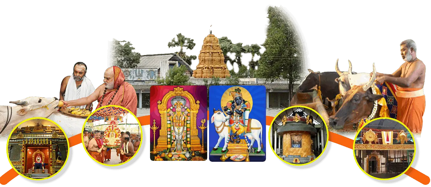 Cow welfare initiative